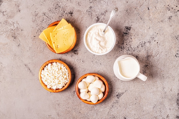 Productos lácteos fermentados con probióticos: yogur, kéfir, requesón, queso mozzarella y gouda.