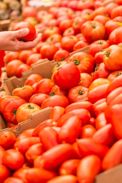 Productos orgánicos frescos en el mercado de agricultores local.