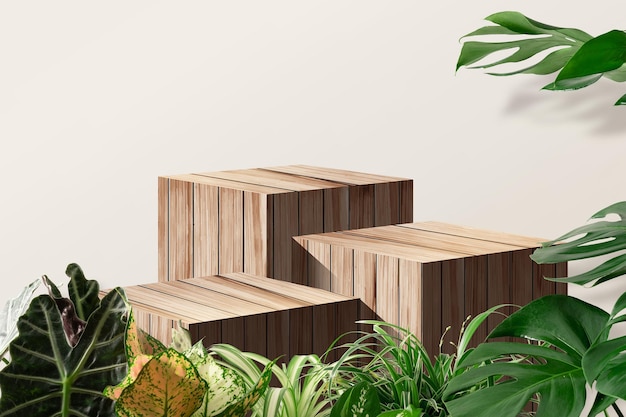 Produktdisplay aus Holzpodium mit naturgrünen Blättern Zierpflanzen isoliert auf braunem Hintergrund Beschneidungspfade für Designarbeiten leerer Freiraum Mock-up-Präsentation