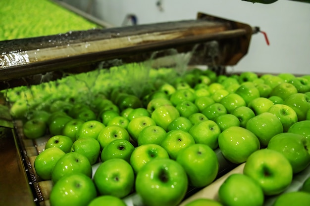 Produktion von grünen Äpfeln in einer Fabrik