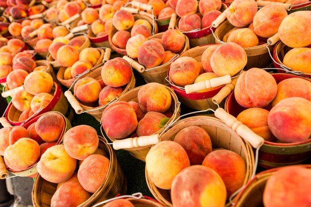 Produtos orgânicos frescos à venda no mercado de fazendeiros locais.