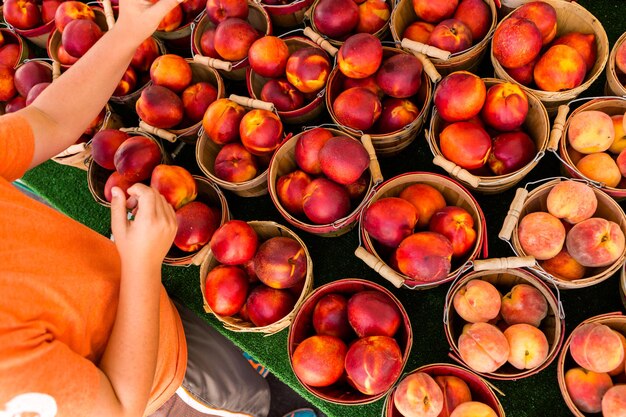 Produtos orgânicos frescos à venda no mercado de fazendeiros locais.