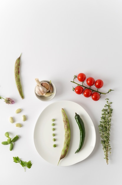 Produtos vegetarianos knolling.