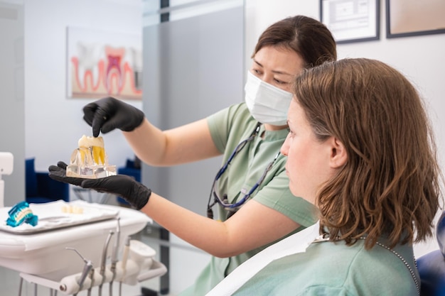 Profesional dental que explica la corona del implante dental en la guía del modelo de dientes sobre el cuidado del implante dental