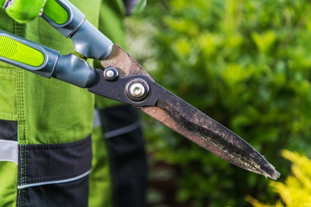 Professionelle Schere für Gartenpflanzen