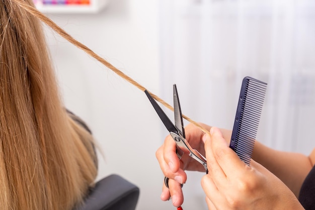 Professioneller Friseur hält Kamm und heiße Thermoschere in der Hand und schneidet Spitzen von langen, glatten Haarlocken in Nahaufnahme