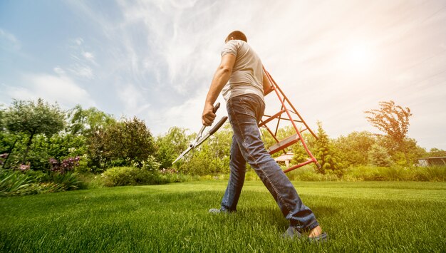 Professioneller Gärtner fällte Bäume mit einer Gartenschere und einer Leiter