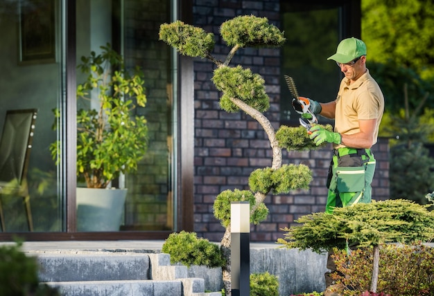 Professioneller kaukasischer Gärtner in den Vierzigern, der dekorative