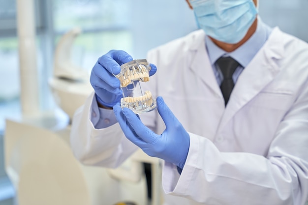 Professioneller Kieferorthopäde, der eine Form menschlicher Zähne vorführt