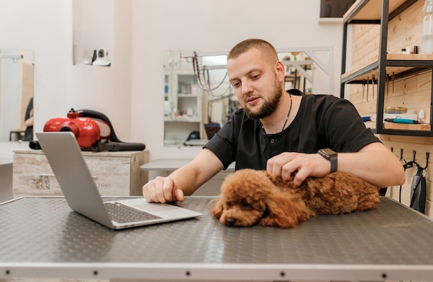 Professioneller männlicher Groomer, der an ihrem Arbeitsplatz im Pflegesalon in der Nähe mit Pudelhund am Laptop arbeitet Tierpflegekonzept