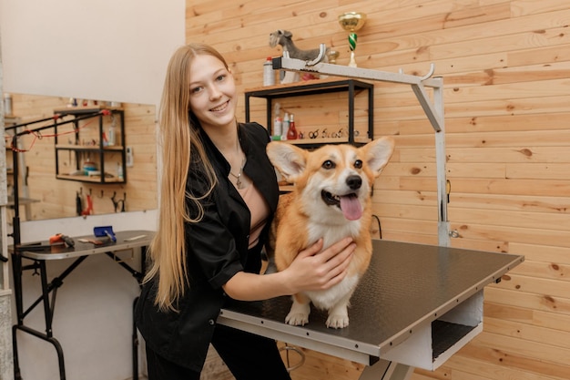 Professioneller weiblicher Groomer mit walisischem Corgi-Pembroke-Hund an seinem Arbeitsplatz im Pflegesalon für Haustiere