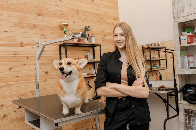 Professioneller weiblicher Groomer mit walisischem Corgi-Pembroke-Hund an seinem Arbeitsplatz im Pflegesalon für Haustiere