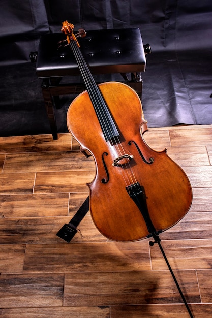 Professionelles Cello vom Gitarrenbauer