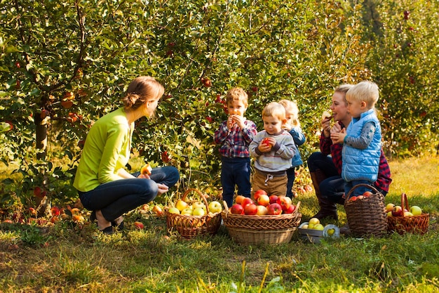 Professor com pré-escolares no jardim de maçãs. Provar e educar as frutas orgânicas naturais