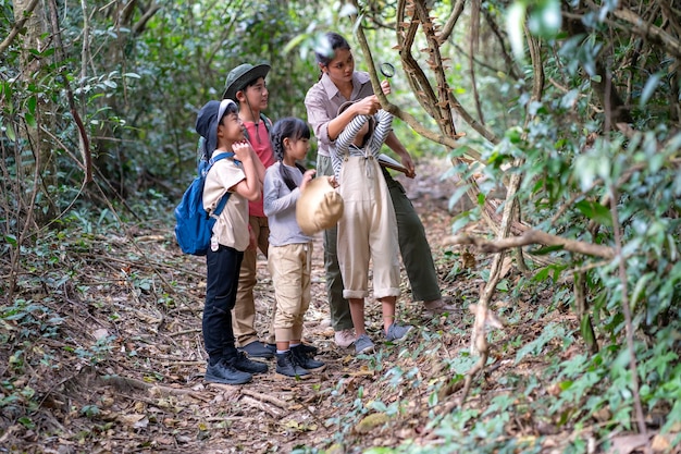 Foto professoras asiáticas estão levando os alunos em uma trilha natural para estudar a natureza de lugares reais