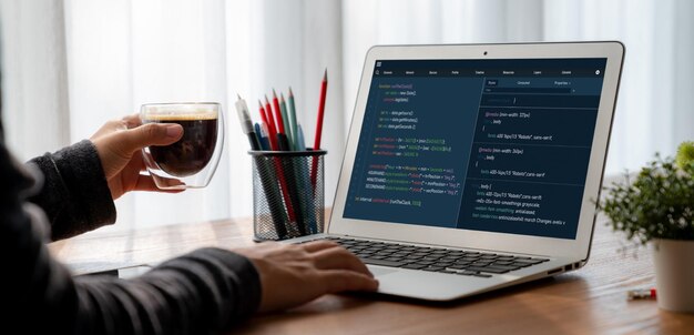 Programación de desarrollo de software en la pantalla de la computadora para aplicaciones modernas