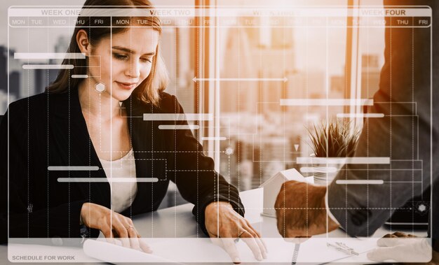 Programación de la planificación empresarial y la gestión de proyectos