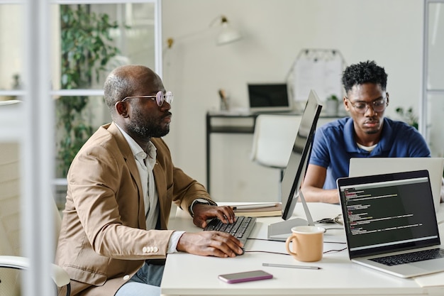 Programadores trabalhando com novo software