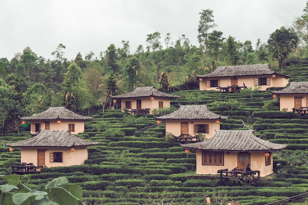 Prohibir el tailandés en Mae Hong Son, Tailandia