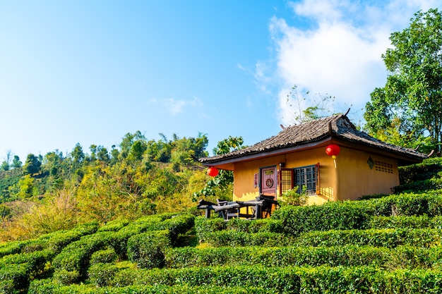 Proibição Rak Thai, um assentamento chinês em Mae Hong Son, Tailândia.