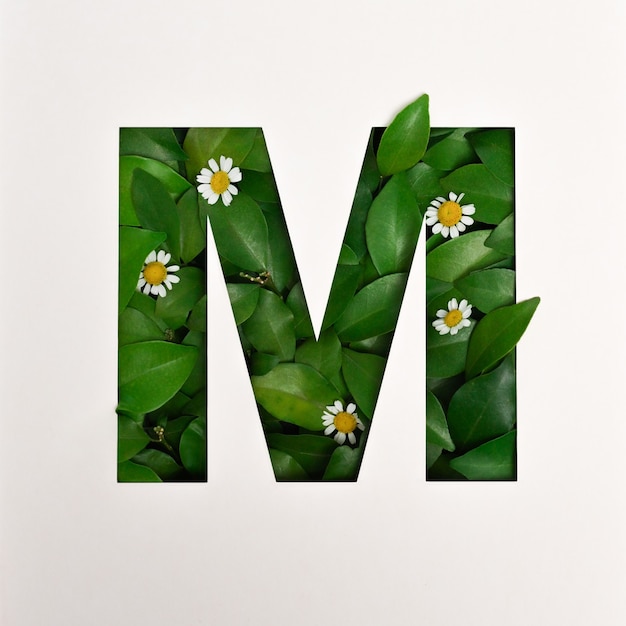 Projeto da fonte, fonte do alfabeto abstrato com folhas e flores, tipografia de folhas realistas - m