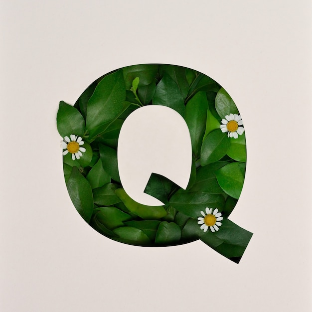 Projeto da fonte, fonte do alfabeto abstrato com folhas e flores, tipografia de folhas realistas - q