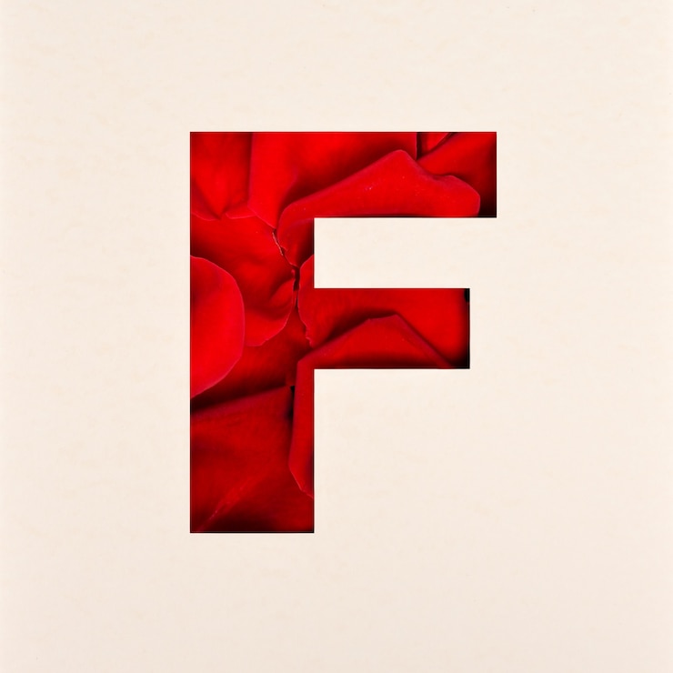 Foto projeto da fonte, fonte do alfabeto abstrato com pétalas de rosa, tipografia de flores realista - f