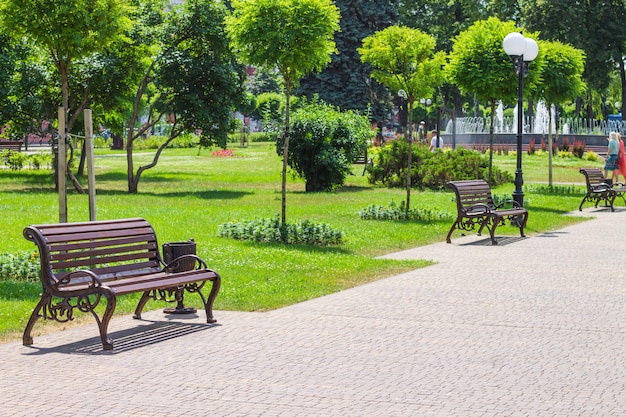 Projeto da paisagem do parque da cidade com bancos e uma fonte.