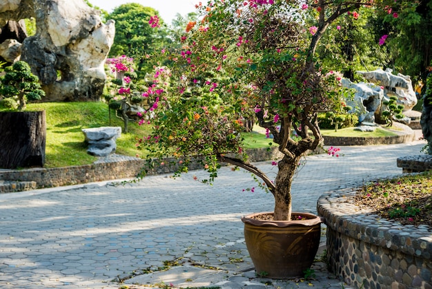 Projeto de paisagem de luxo do jardim tropical.