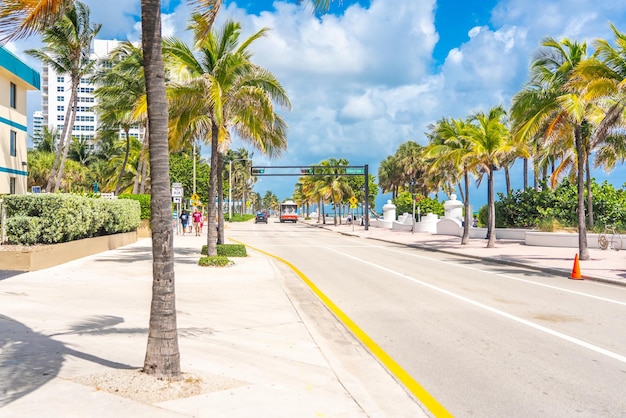 Foto promenada frente al mar con palmeras en un día soleado en fort lauderdale