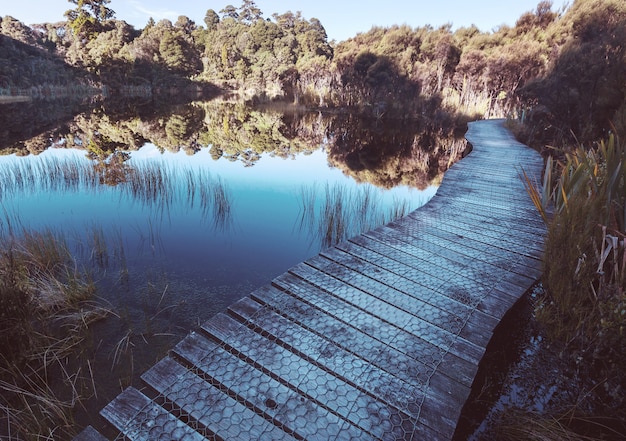 Promenade am See im tropischen Wald, Neuseeland