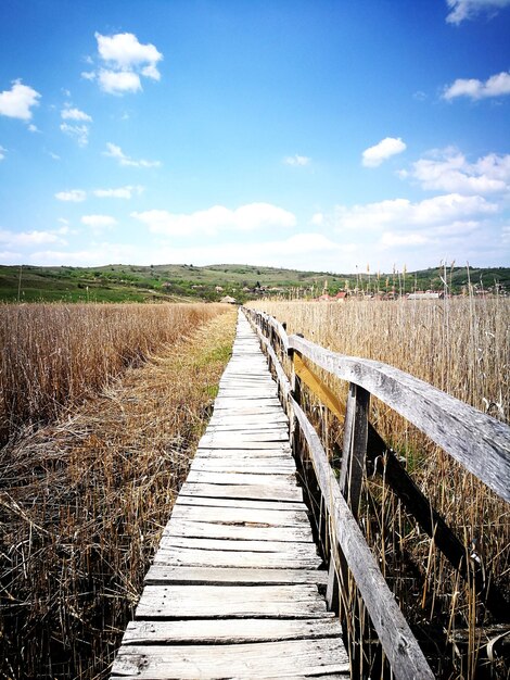 Promenade auf dem Feld gegen den Himmel