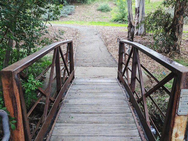 Foto promenade im wald