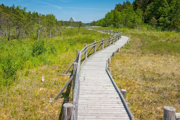 Foto promenadenweg durch feuchtgebiete