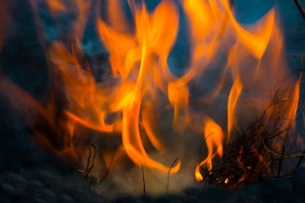 Propagación de fuego y humo que quema la hierba cuida la naturaleza.