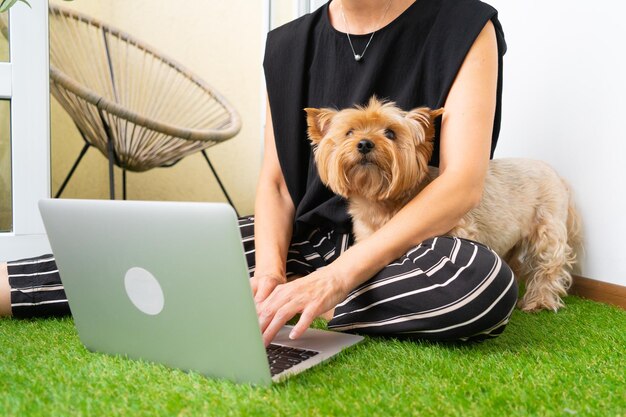 Foto propietaria de una empresa con yorkshire terrier trabajando remotamente en una computadora portátil