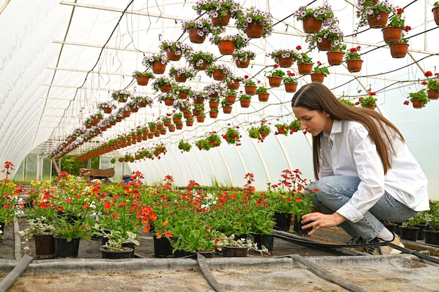 Propietaria de una tienda de plantas que trabaja con flores en invernadero Empresaria de pequeñas empresas y concepto de cuidado de plantas