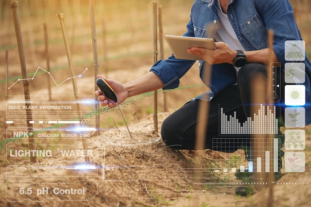 Foto propietario agricultor o agrónomo que utiliza un medidor de acidez del suelo para mejorar la calidad del suelo y la planta.