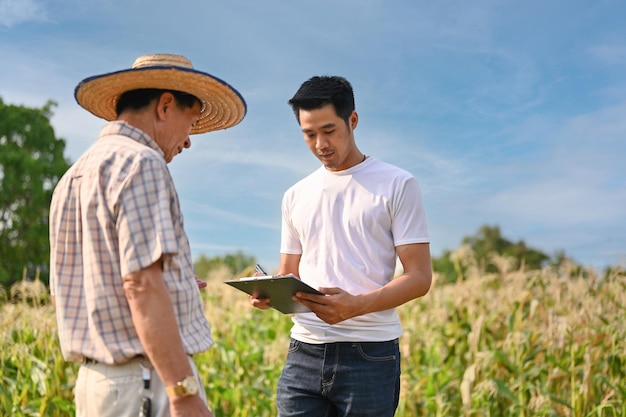 Propietario de campo de maíz masculino asiático profesional hablando y trabajando con un viejo agricultor