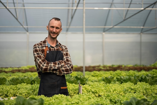 El propietario de la huerta hidropónica está comprobando la calidad de las verduras y comprobando o registrando el crecimiento de las verduras en la huerta Verduras en el invernadero