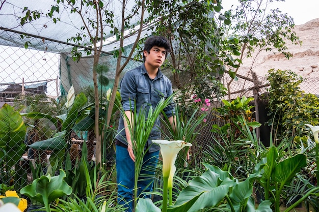 Propietario de jardín masculino joven cultivando plantas en invernadero concepto de empresario de pequeñas empresas