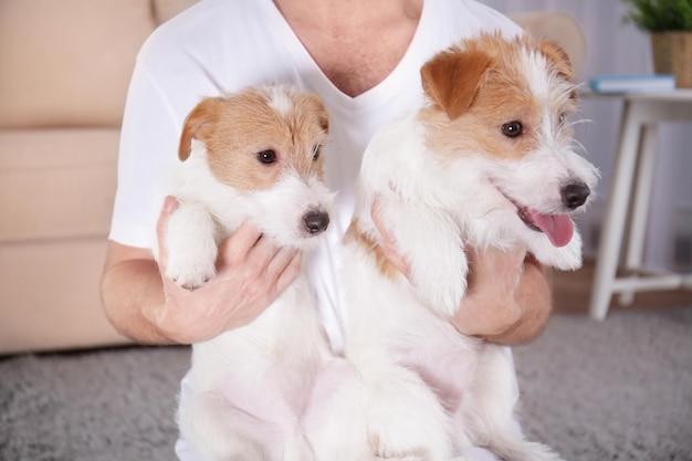 Propietario con lindos perros divertidos en casa closeup