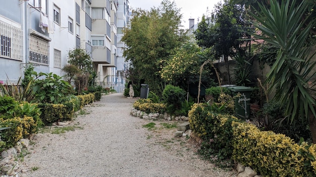 Los propios residentes locales de los edificios de apartamentos plantaron un jardín ornamental debajo de las ventanas de