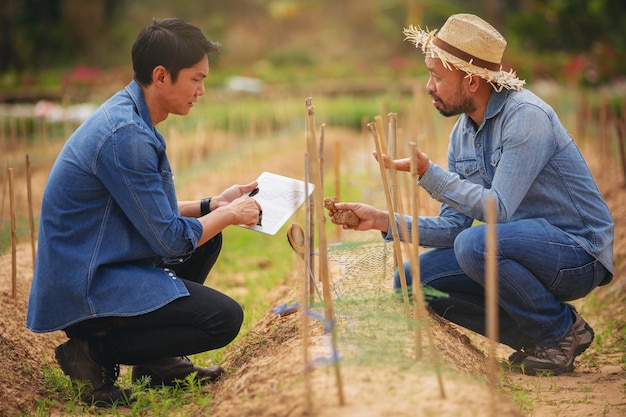 Proprietário agricultor, agrônomo foram consultados estudiosos sobre como melhorar a qualidade do solo antes do plantio