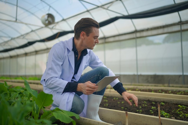 Proprietário biólogo fazenda de vegetais hidropônicos na estufa verificando a qualidade dos vegetais orgânicos