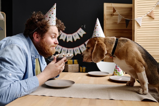 Proprietário comemorando aniversário com cachorro