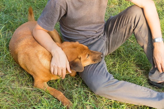 Proprietário e seu cão sentados em grama verde.