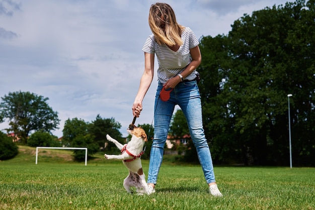 Proprietário passeando com cachorro em campo verde