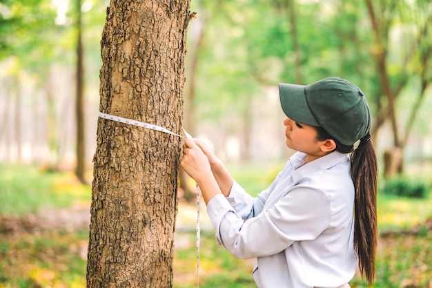 Proteger do desmatamento e poluição ou mudança climática conceito de amar a natureza e a árvore mulher medindo a circunferência de uma árvore com uma régua