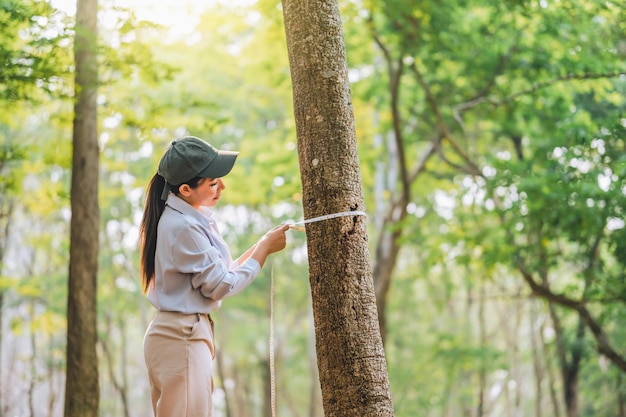 Proteger do desmatamento e poluição ou mudança climática conceito de amar a natureza e a árvore mulher medindo a circunferência de uma árvore com uma régua